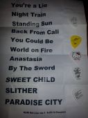 Concert solo 2014 0825_woodlands slash (21)